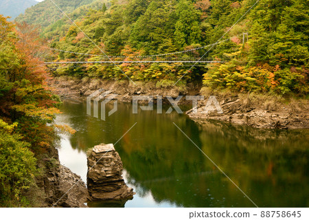 吉野川橋和紅葉的風景 吉野川橋和紅葉的風景 88758645