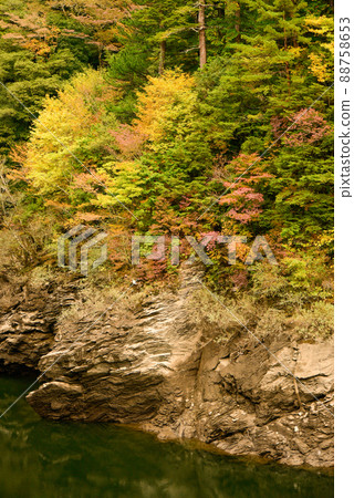 吉野川橋和紅葉的風景 88758653