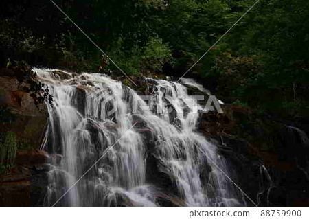 從今福瀑布 88759900