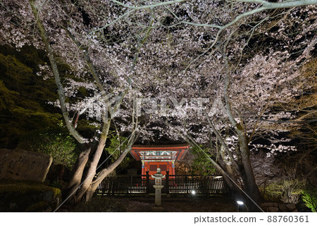 Bishamon-do Temple and Sakura at Mitsui-ji Temple 88760361