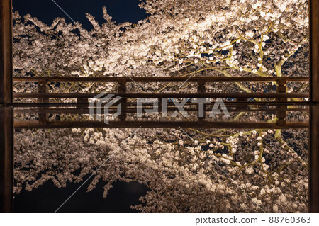 Cherry blossoms on the Mitsui-ji Temple viewing moon stage 88760363