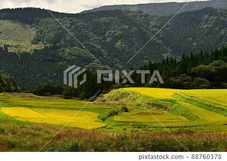 從別庫的水稻梯田 88760378