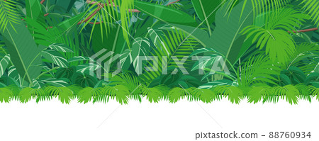 Tropical plants_Jungle landscape illustrations_Seamless 88760934