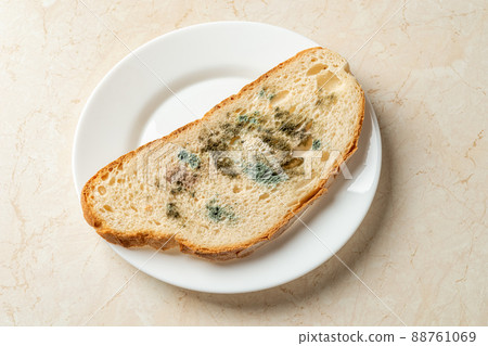 Slice of spoiled bread on a white plate. Various kinds of mold on a one piece of wheat bread. 88761069