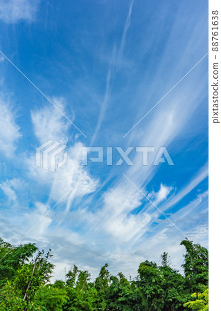 sky with rarely cloud in line shape. sky with rarely cloud in line shape. 88761638