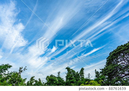 sky with rarely cloud in line shape. sky with rarely cloud in line shape. 88761639