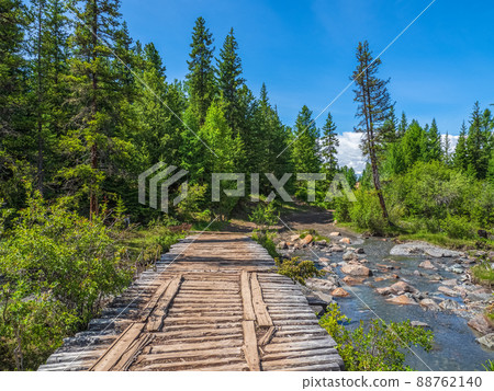 Old empty wooden bridge over a mountain river on the background of coniferous forest and mountains. 88762140
