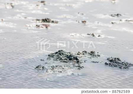 Pink salt lake with the mud 88762589