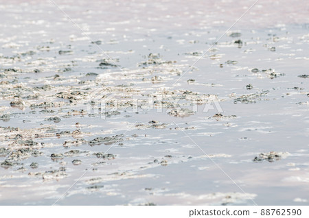 Pink salt lake with the mud 88762590
