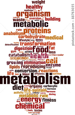 Metabolism word cloud Metabolism word cloud 88763035