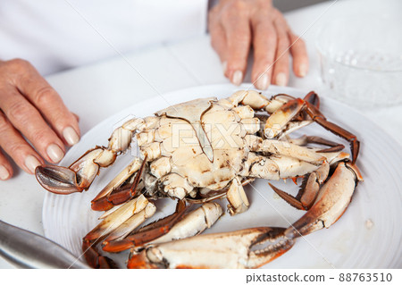 Close up of the process of breaking down a fresh crab to take out the flesh Close up of the process of breaking down a fresh crab to take out the flesh 88763510