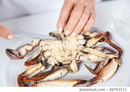 Close up of the process of breaking down a fresh crab to take out the flesh Close up of the process of breaking down a fresh crab to take out the flesh 88763511