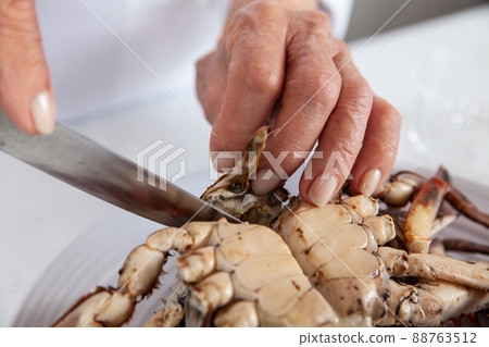 Close up of the process of breaking down a fresh crab to take out the flesh Close up of the process of breaking down a fresh crab to take out the flesh 88763512