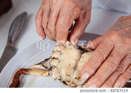 Close up of the process of breaking down a fresh crab to take out the flesh Close up of the process of breaking down a fresh crab to take out the flesh 88763514