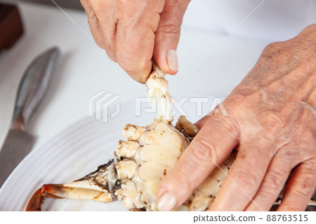 Close up of the process of breaking down a fresh crab to take out the flesh Close up of the process of breaking down a fresh crab to take out the flesh 88763515