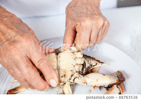 Close up of  the process of breaking down a fresh crab to take out the flesh 88763516