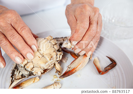 Close up of the process of breaking down a fresh crab to take out the flesh Close up of the process of breaking down a fresh crab to take out the flesh 88763517