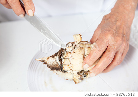 Close up of the process of breaking down a fresh crab to take out the flesh Close up of the process of breaking down a fresh crab to take out the flesh 88763518