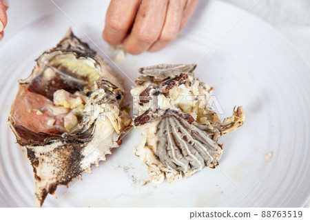 Close up of the process of breaking down a fresh crab to take out the flesh Close up of the process of breaking down a fresh crab to take out the flesh 88763519