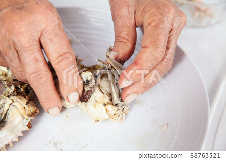 Close up of the process of breaking down a fresh crab to take out the flesh Close up of the process of breaking down a fresh crab to take out the flesh 88763521