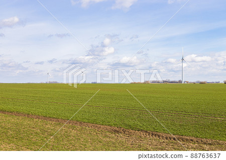 The agricultural field under blue sky and silhouettes of wind power turbines The agricultural field under blue sky and silhouettes of wind power turbines 88763637