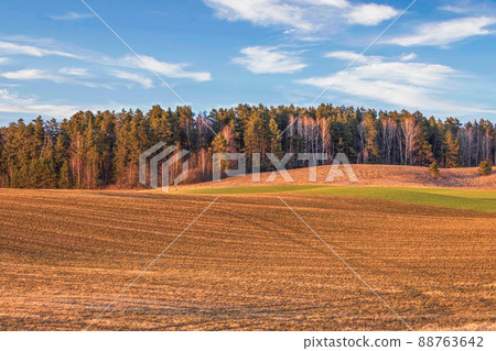 Countryside agricultural field, in the background of blue sky and forest 88763642