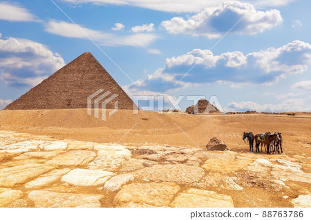 The Pyramid of Menkaure complex and horses near it, Giza, Egypt The Pyramid of Menkaure complex and horses near it, Giza, Egypt 88763786