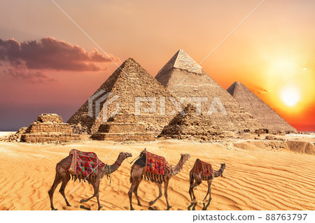 Camel caravan near the Giza Pyramids of Egypt 88763797