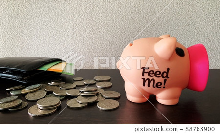 Saving money into piggy bank. Money concept. Saving money into piggy bank. Money concept. 88763900
