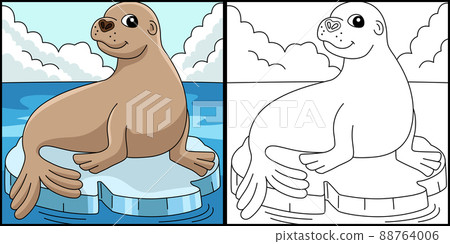 Sea Lion Animal Coloring Page Colored Illustration Sea Lion Animal Coloring Page Colored Illustration 88764006