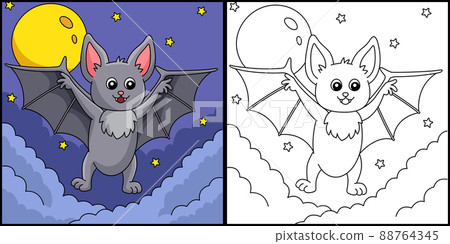 Bat Animal Coloring Page Colored Illustration 88764345