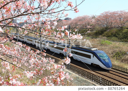 京成電鐵成田Sky Access和盛開的櫻花穿過千葉縣白井市附近的北總線 88765264