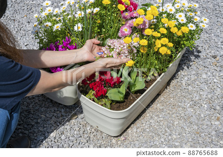 Spring gardening group planting care Spring gardening group planting care 88765688