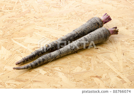 黑胡蘿蔔 88766074