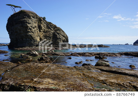 Spring Moshi Coast 88766749