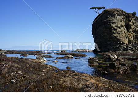 Spring Moshi Coast 88766751