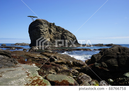 Spring Moshi Coast Spring Moshi Coast 88766758
