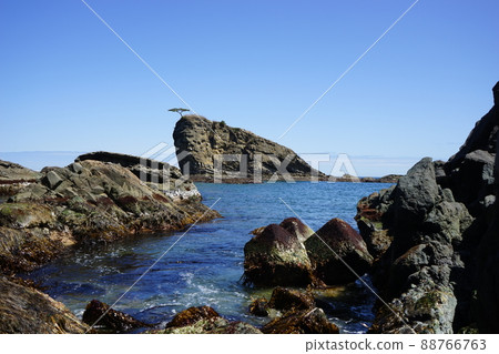 Spring Moshi Coast Spring Moshi Coast 88766763