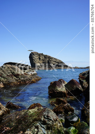 春天莫希海岸 春天莫希海岸 88766764