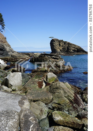 Spring Moshi Coast 88766768