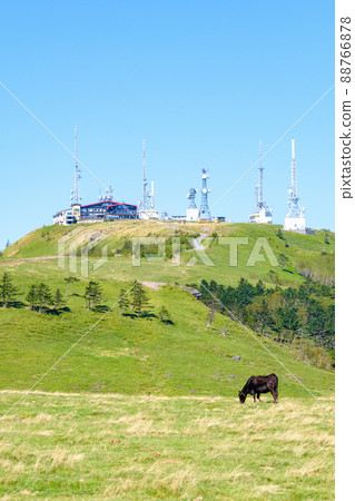 Ougatou: Ougatou 88766878