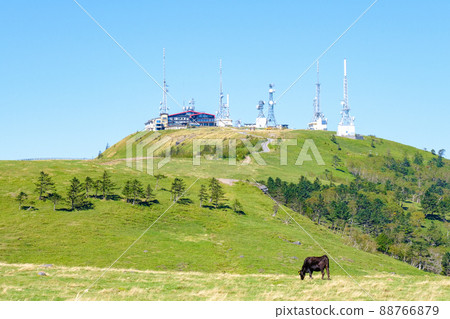 Ougatou: Ougatou 88766879