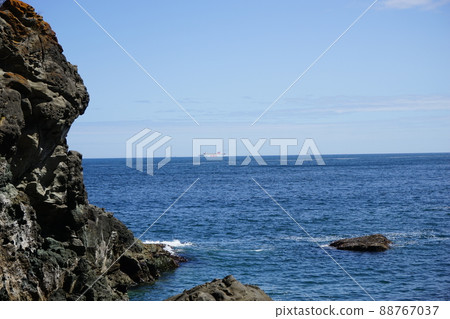 Spring Moshi Coast 88767037