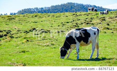 Utsukushigahara: Utsukushigahara Ranch Utsukushigahara: Utsukushigahara Ranch 88767123