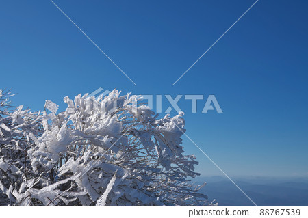 《鳥取縣》大仙衝國立公園的冬景【12月】 《鳥取縣》大仙衝國立公園的冬景【12月】 88767539