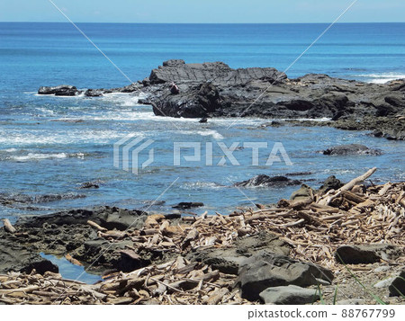 海景 88767799