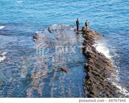 海景 88767848