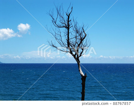 Seascape Seascape 88767857