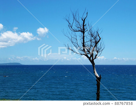 Seascape Seascape 88767858