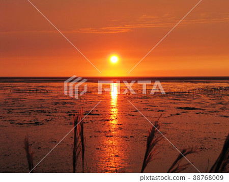 晨曉黃昏夕彩 88768009